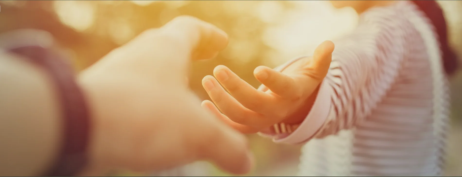 Close-up of two people holding hands, with one person reaching out their hand and gently gripping the other’s hand, outdoors with warm sunlight.